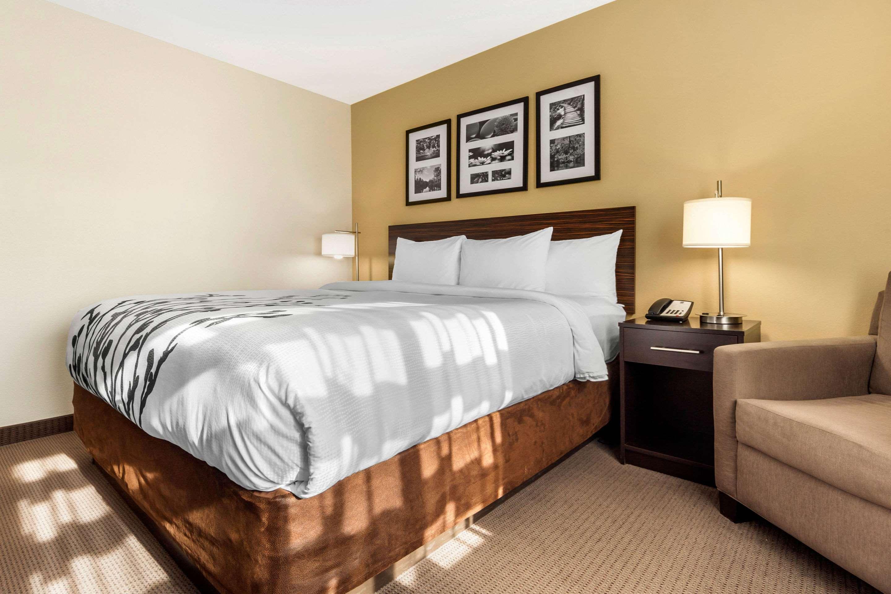 Sleep Inn & Suites Devils Lake Extérieur photo